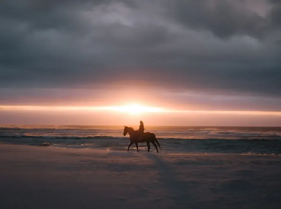 Goldene Stunde: Reiten & Kamelritt an der Küste — 4