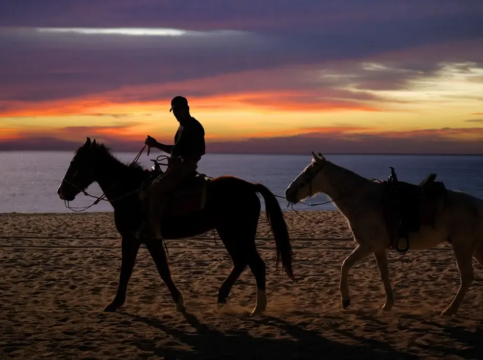 Goldene Stunde: Reiten & Kamelritt an der Küste — 5