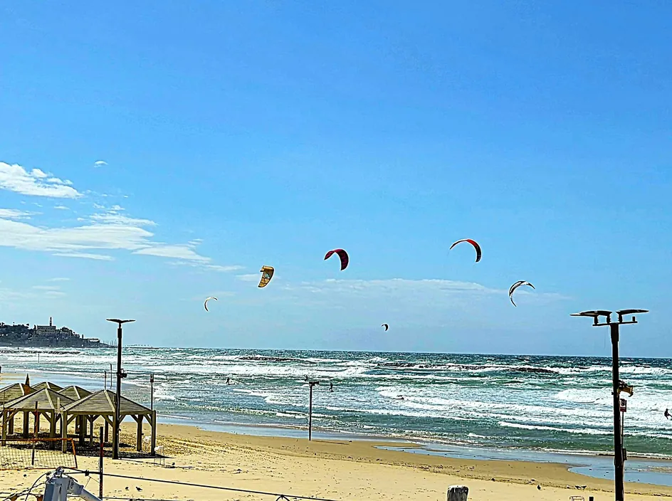 Royal Wind: Kite Surfing in El Gouna — 5
