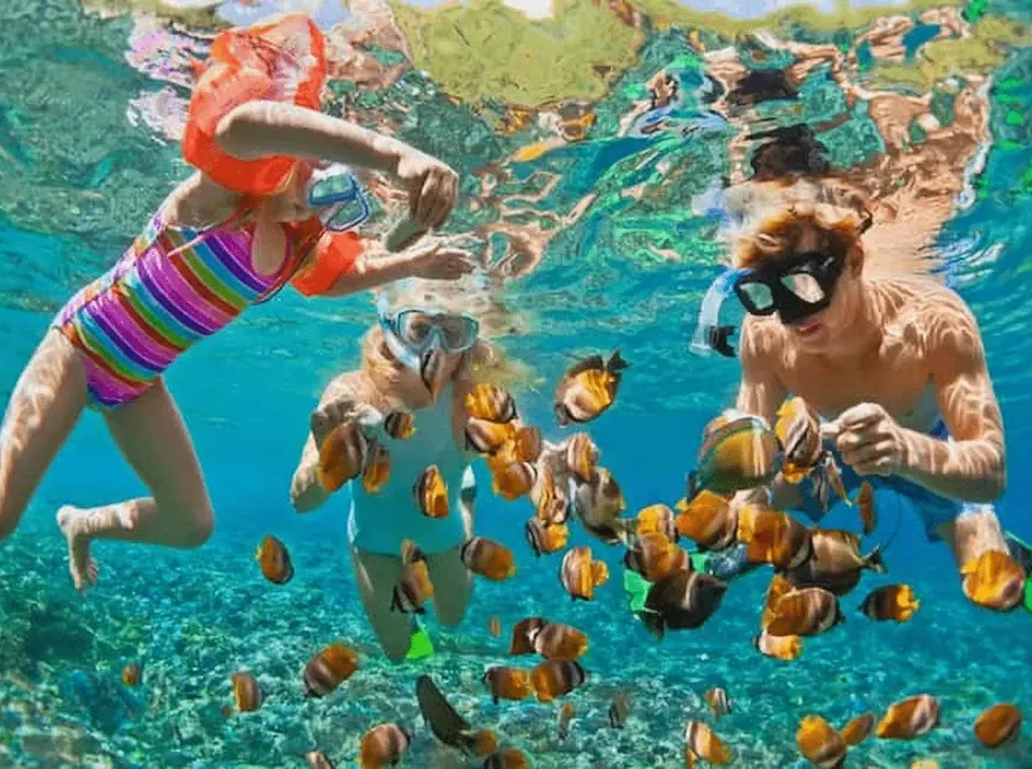 Reef Snorkeling Trip — 2